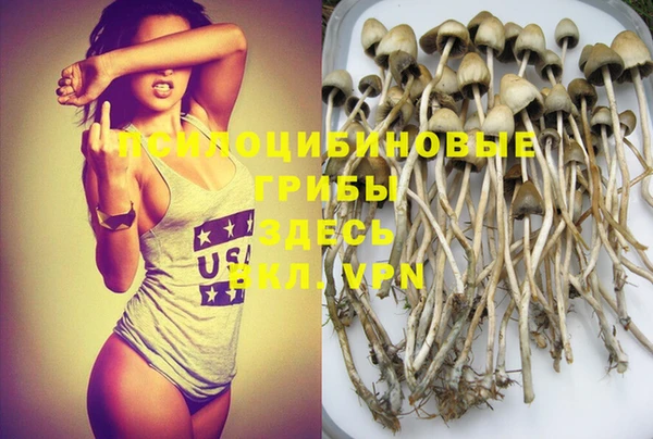 ECSTASY Бронницы