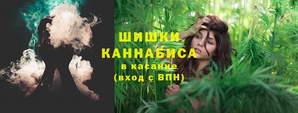 ECSTASY Бронницы